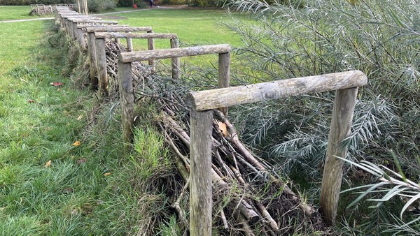„Lebensraum Zaun“: So wird das Projekt in Bergedorf umgesetzt
