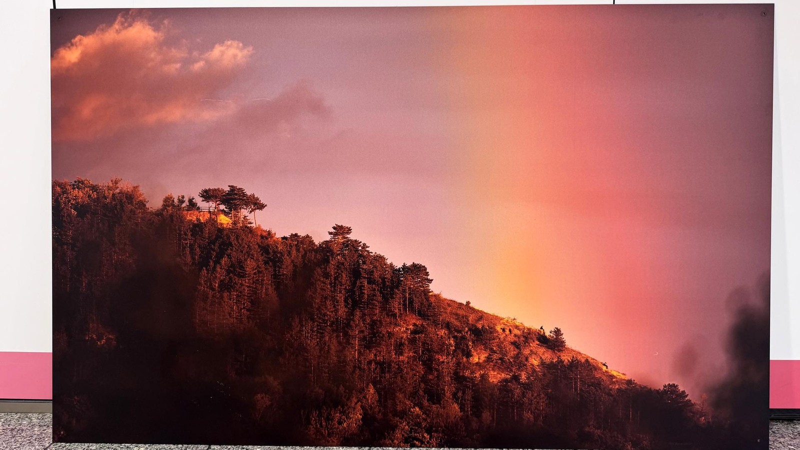 F-r-guten-Zweck-Weitere-Jena-Bilder-werden-versteigert