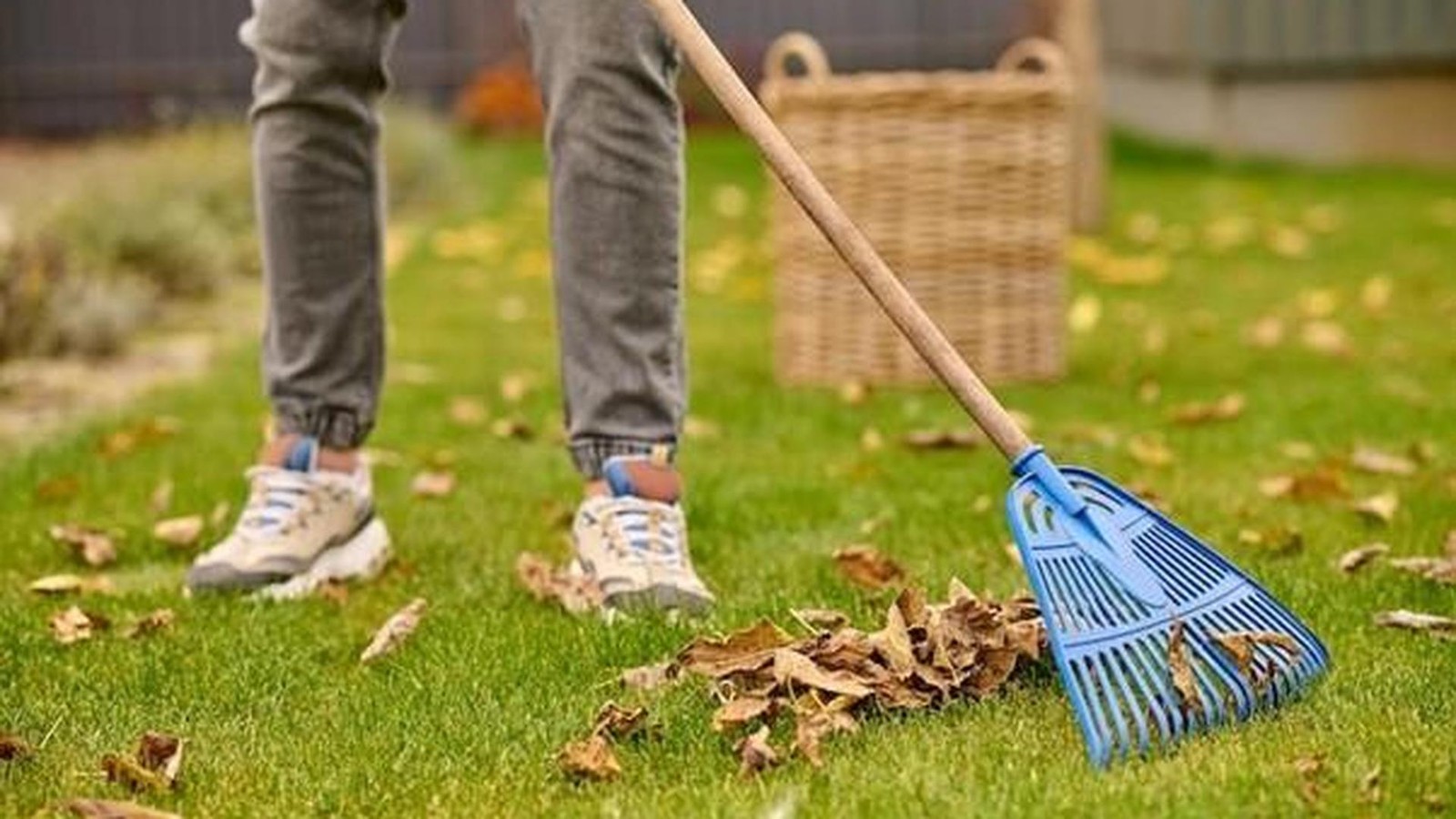 Herbstlaub-Rechen-oder-liegen-lassen-