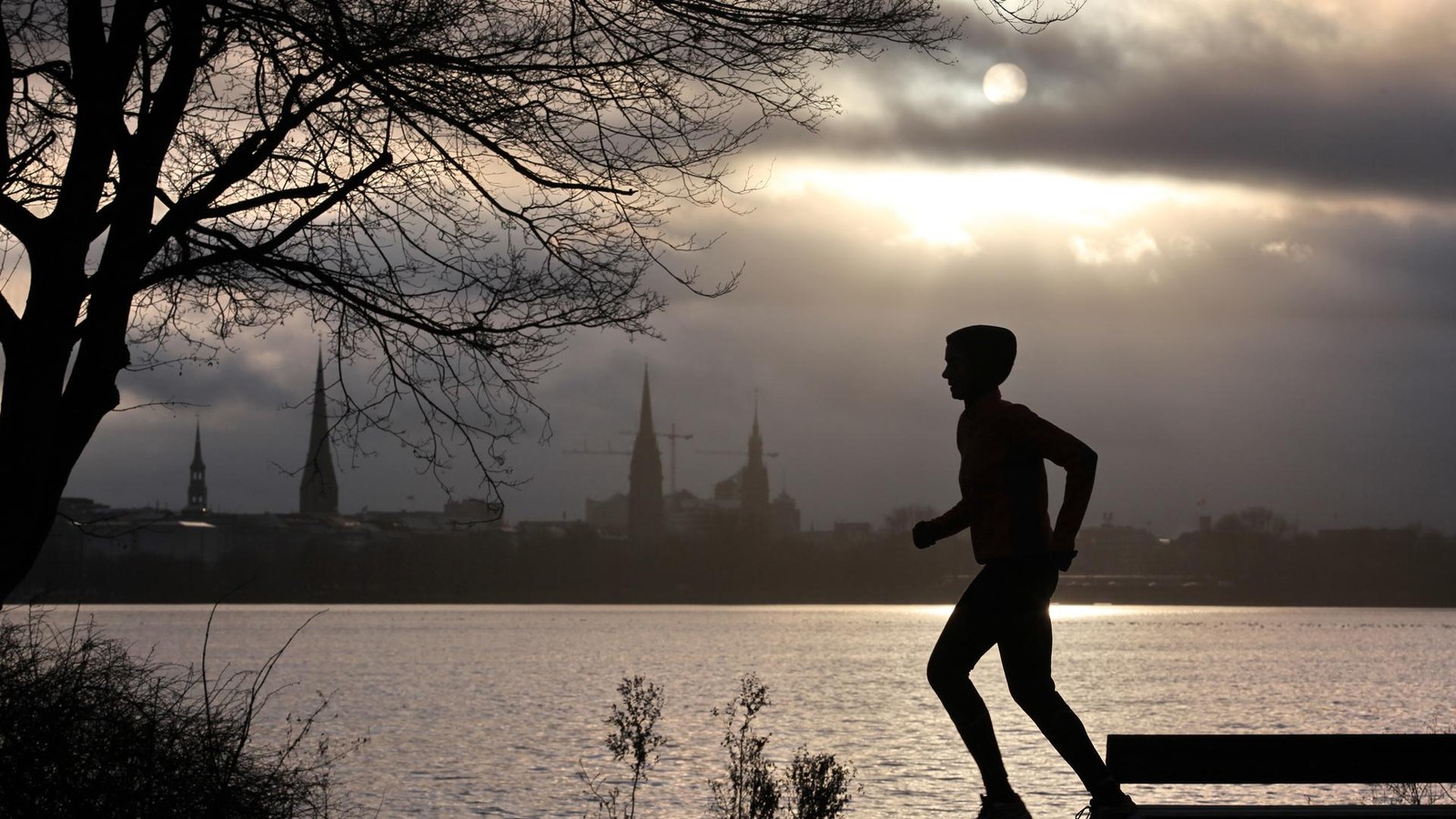 Ern-hrungs-Doc-Riedl-kl-rt-auf-Warum-Ballaststoffe-f-r-Sportler-wichtig-sind