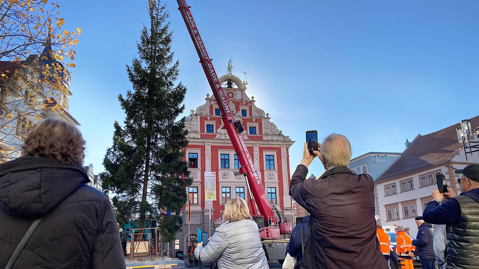 Weihnachtsb-ume-schm-cken-bereits-den-Hauptmarkt-in-Gotha