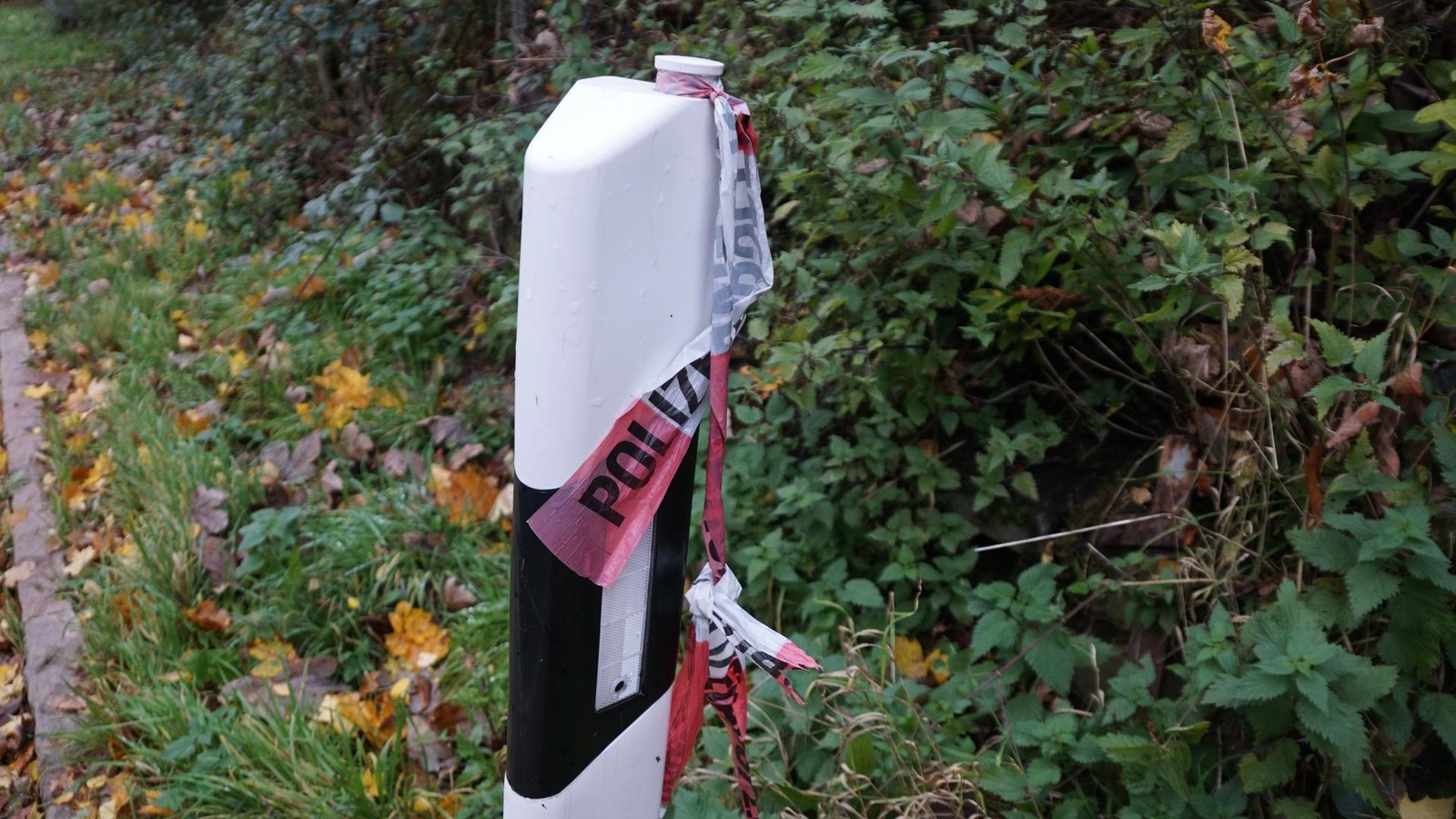 2x-Lost-Place-im-Harz-Wie-geht-es-dem-Waldkater-und-was-ist-das-f-r-ein-Haus-