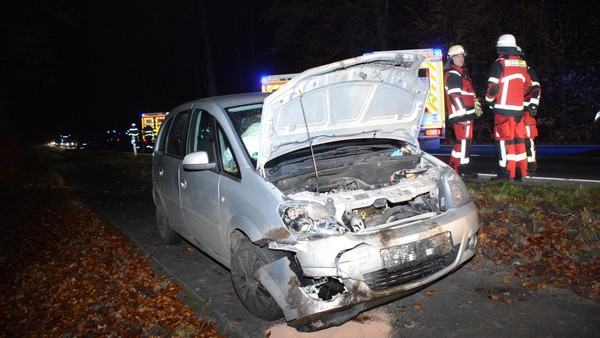 Unfall mit Wildschwein auf B404: Fahrer muss ins Krankenhaus