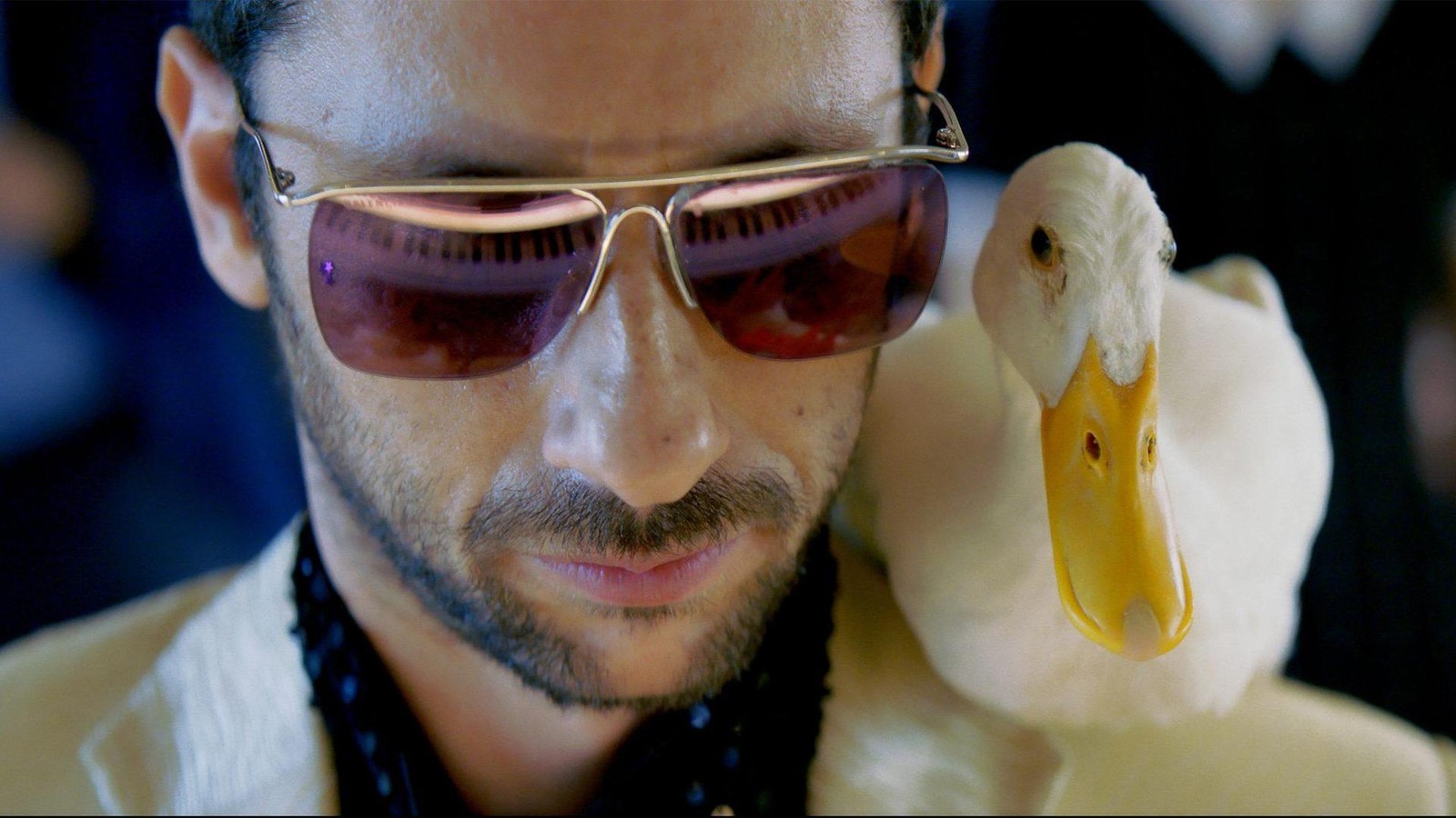 Ein-Film-wie-ein-Faustschlag-Yes-