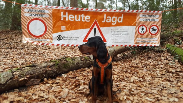 Jagd im östlichen Barnbruch: Diese Kreisstraße wird gesperrt