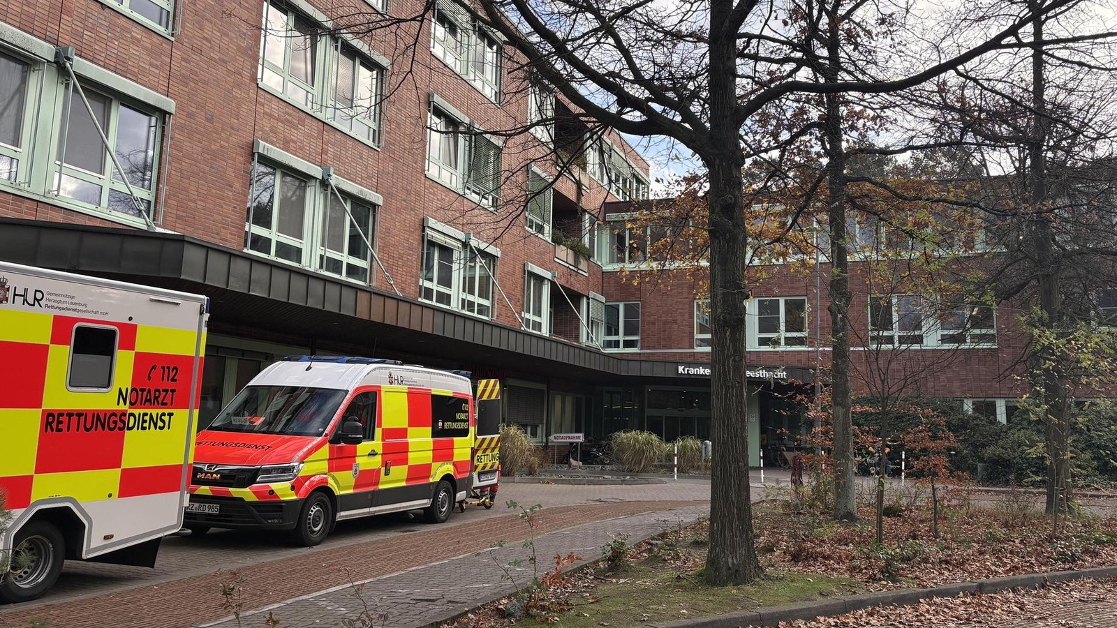 Gesundheitsrisiko-Krei-saal-V-llig-aus-der-Luft-gegriffen-