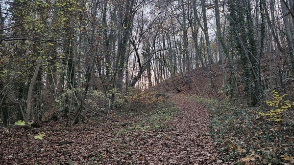 True Crime im Harz: Ein Mörder lauert vor 125 Jahren am Wanderweg