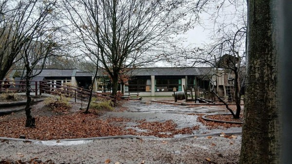 Eltern entsetzt: Aus für Inklusions-Kita Elfenwiese ist amtlich