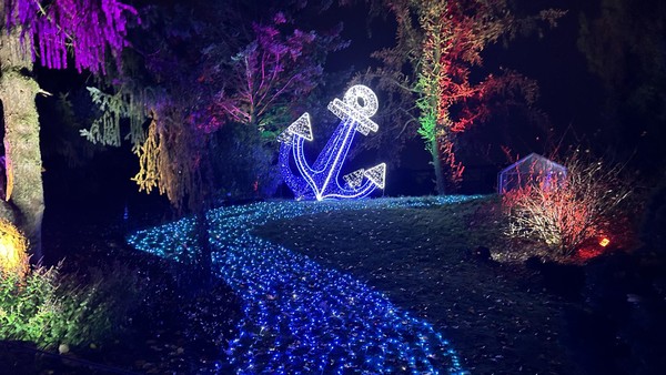 Christmas Garden in Hamburg gestartet: Lichtshow, Preise und Tipps