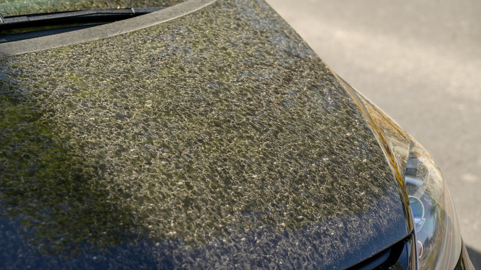 Volle-Waschanlagen-Blutregen-berrascht-Autofahrer-in-Th-ringen