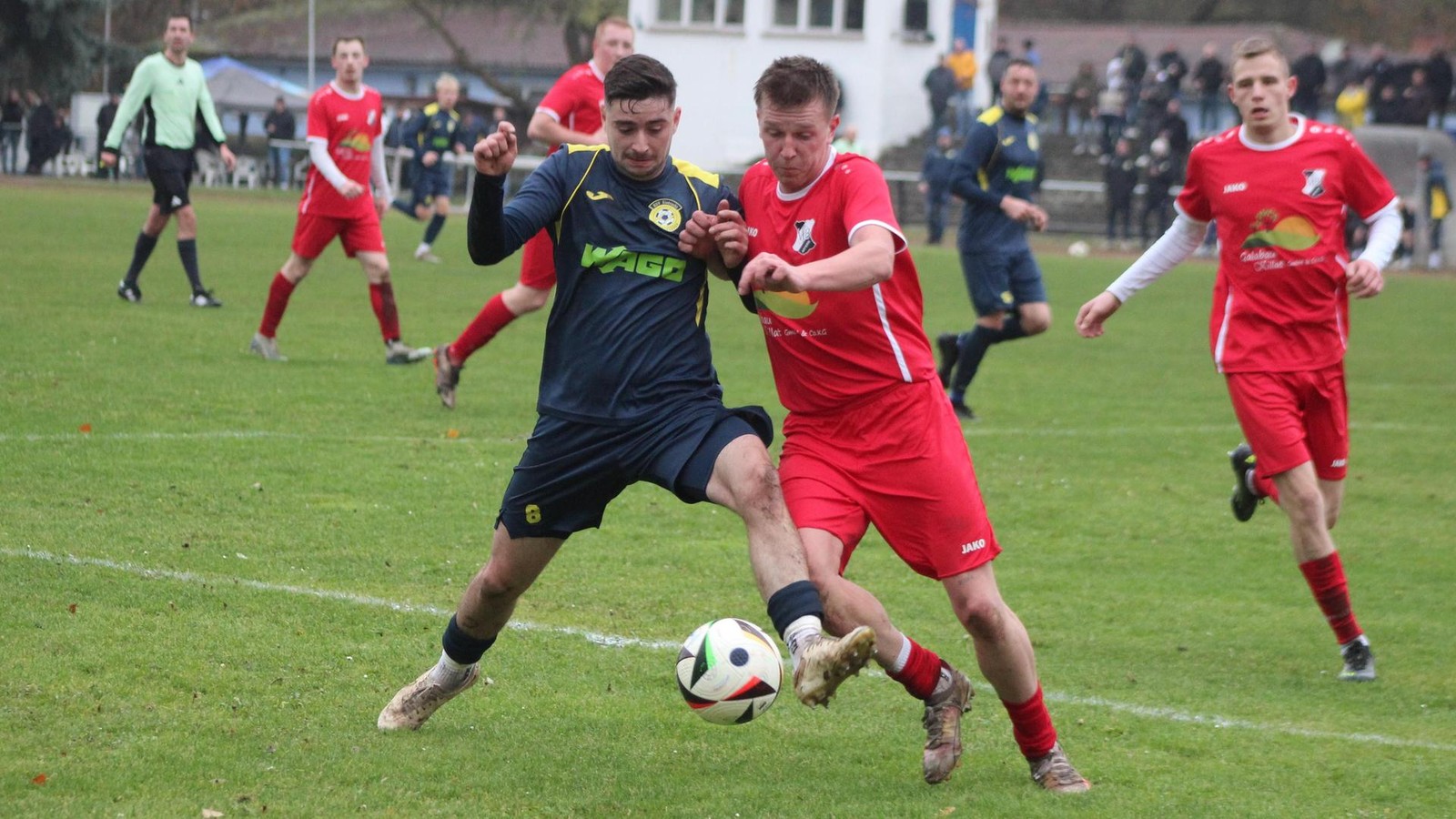 125x125 www.thueringer-allgemeine.de