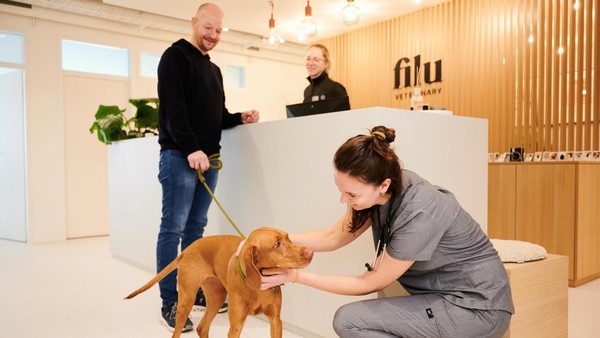 Neue Tierarztpraxis steht seit Monaten leer – aus überraschendem Grund