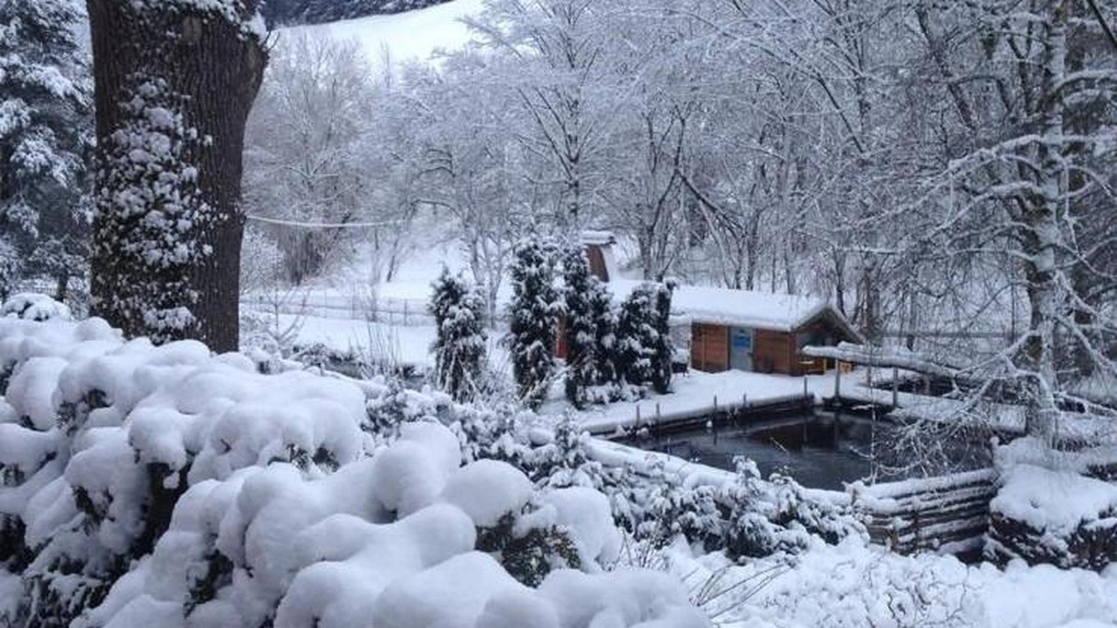 Meistgelesen-Das-waren-die-Themen-der-Woche-in-Saalfeld-Rudolstadt