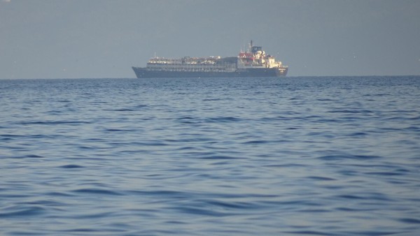 Tiertransport-Schiff aus Uruguay: Tausende Rinder kämpfen um ihr Leben