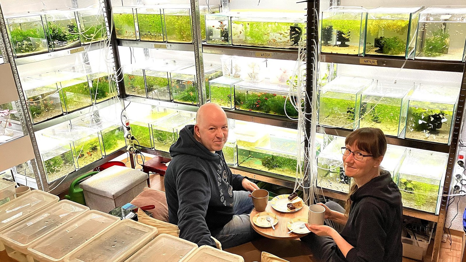 Guppy-Zucht-im-Plattenbau-100-Aquarien-voller-Exoten-im-Altenburger-Land