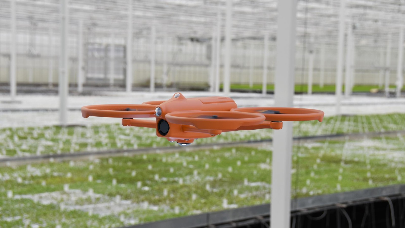 Hightech-im-Gew-chshaus-das-Foodvalley-in-den-Niederlanden