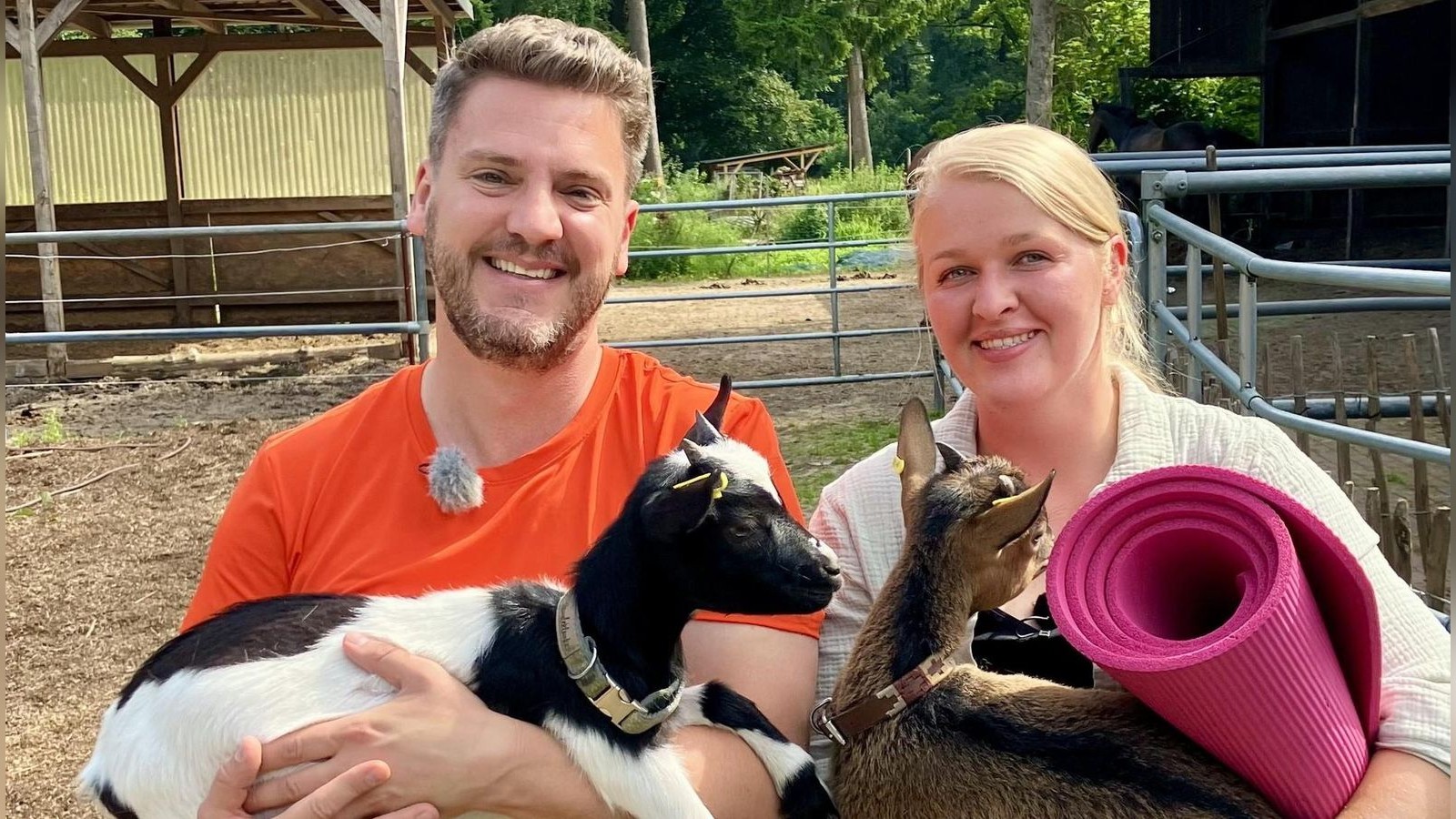 Entt-uschte-Insa-Warum-Kandidat-Christoph-Hofwoche-platzen-l-sst