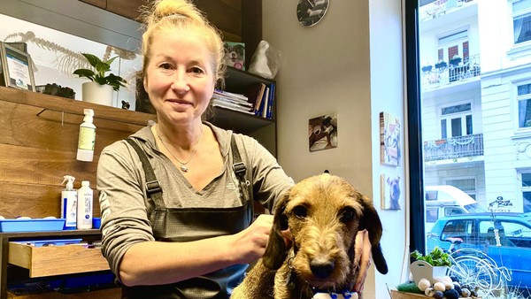 217 Euro für einen Haarschnitt: So luxuriös leben Hunde in Hamburg