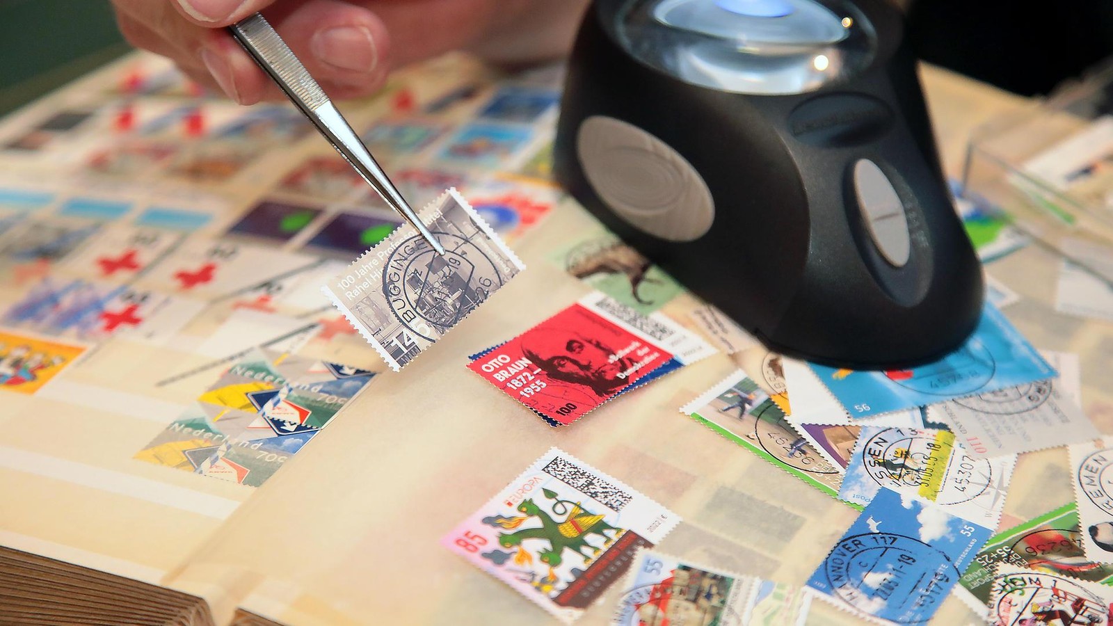 Die-f-nf-besten-Tipps-f-r-das-Wochenende-im-Kreis-Saalfeld-Rudolstadt