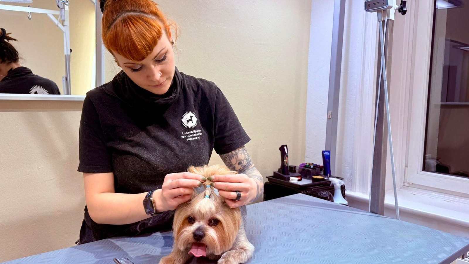 Groomer-Service-Wenn-der-Hunde-Friseur-bis-zu-217-Euro-verlangt