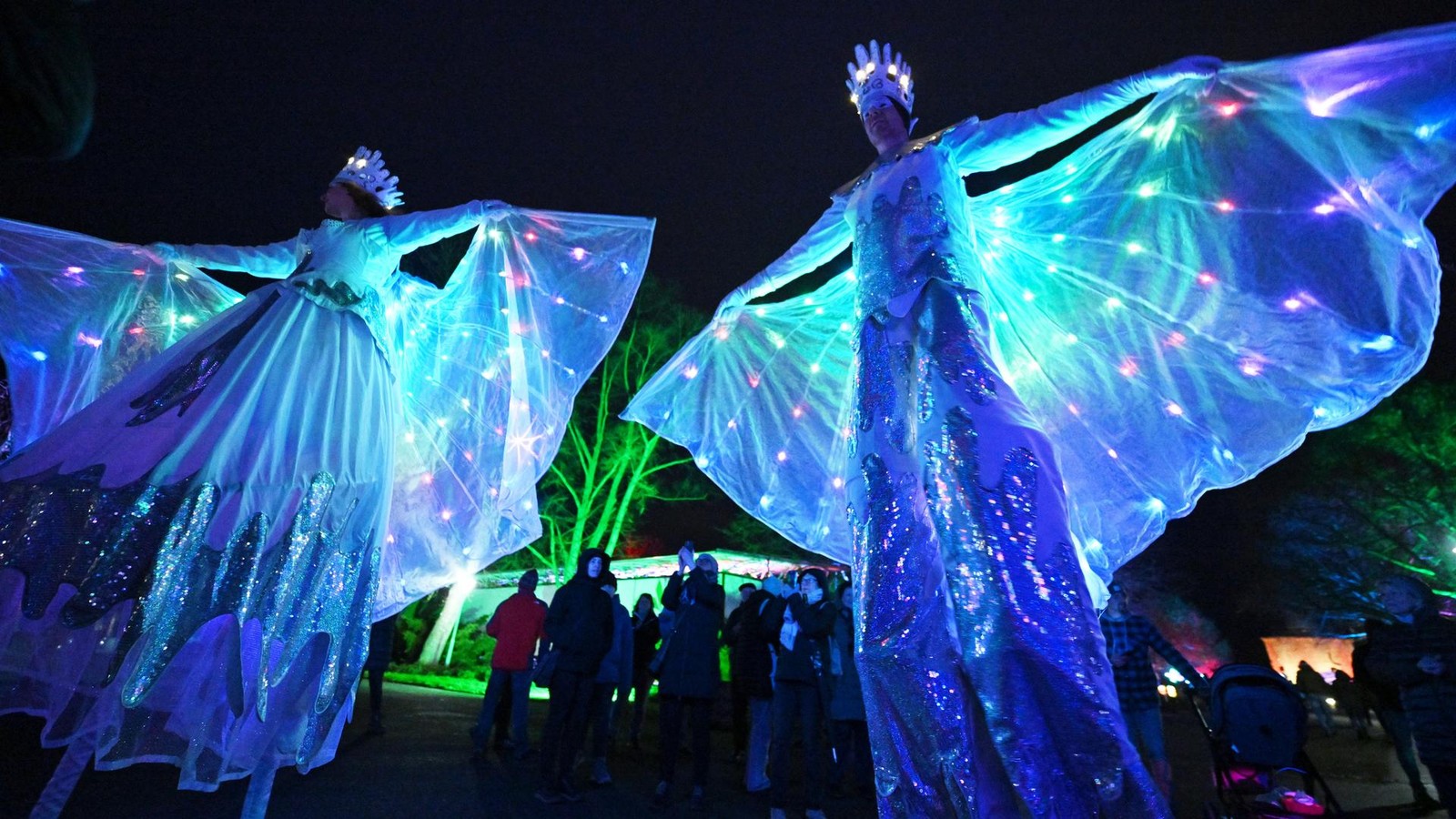 Abenteuerliche-Anreise-Erfurter-Dino-Spektakel-verz-gert-sich-weiter