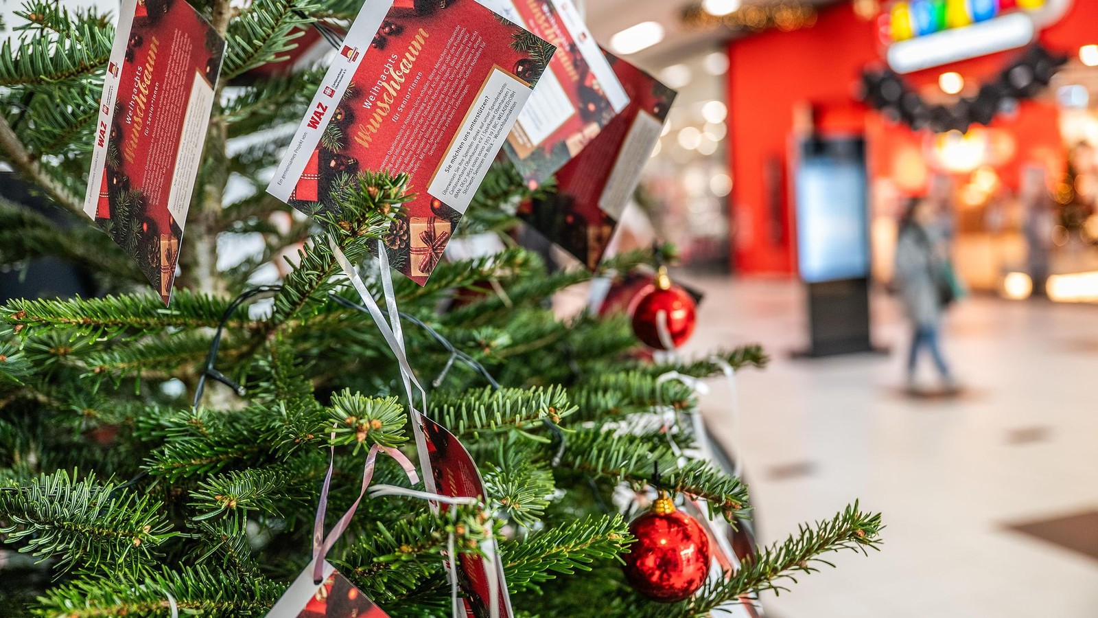 Wunschbaum-im-Bero-Zentrum-Was-sich-viele-Senioren-w-nschen