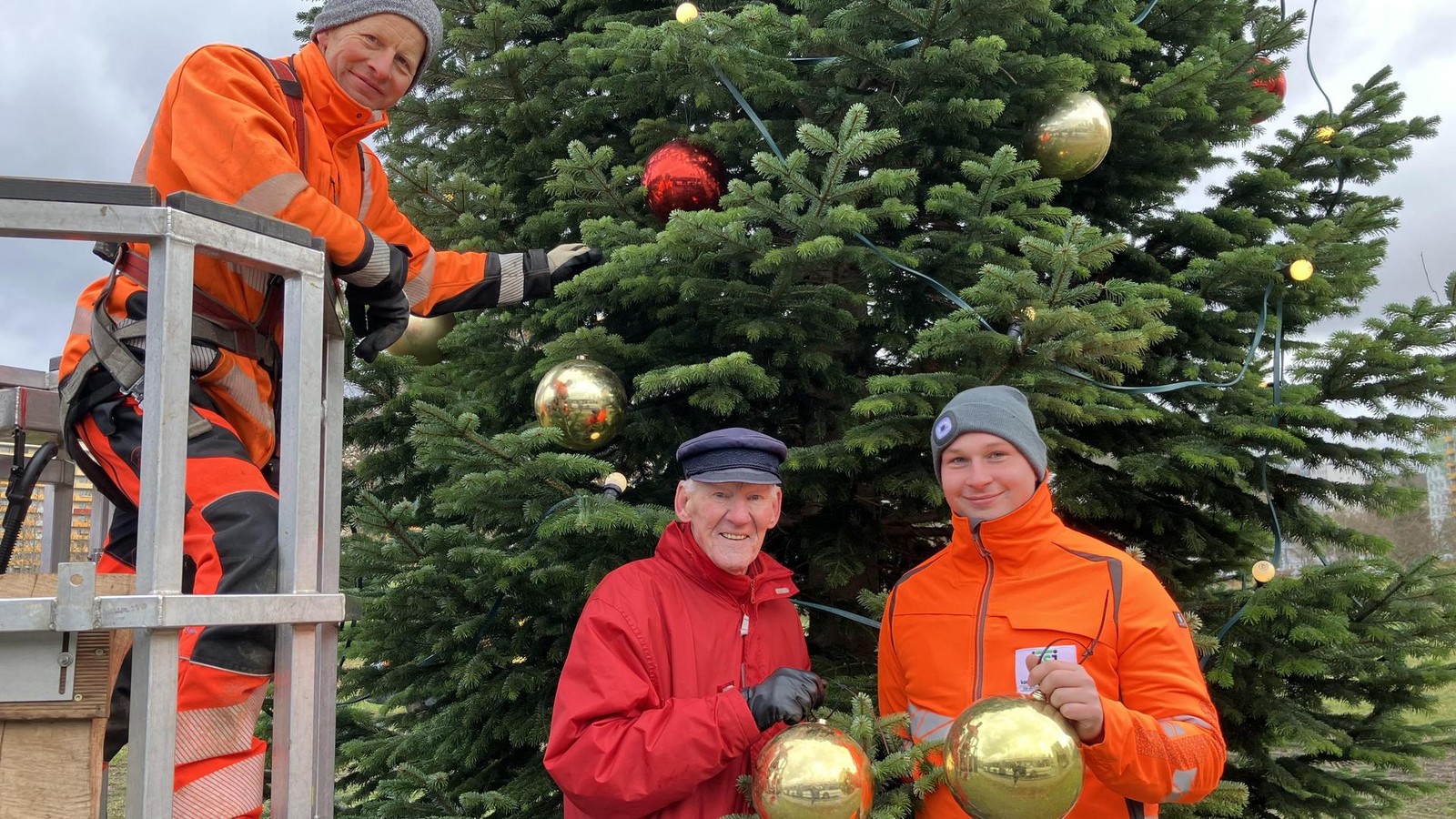 -Bisschen-kleiner-aber-wundersch-n-gewachsen-Der-n-chste-Weihnachtsbaum-in-Jena-ist-da