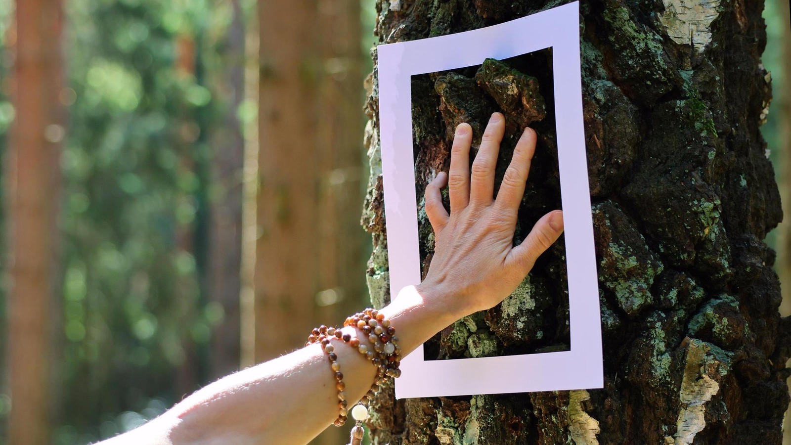 Eintauchen-in-die-Waldatmosph-re-F-nf-Tipps-f-r-das-Wochenende-im-Saale-Orla-Kreis