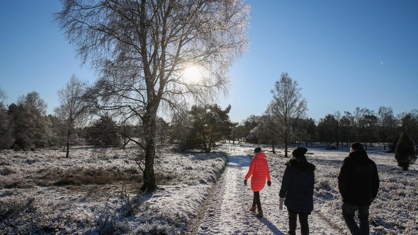 Wintereinbruch: Erster Schnee verzaubert die Lüneburger Heide