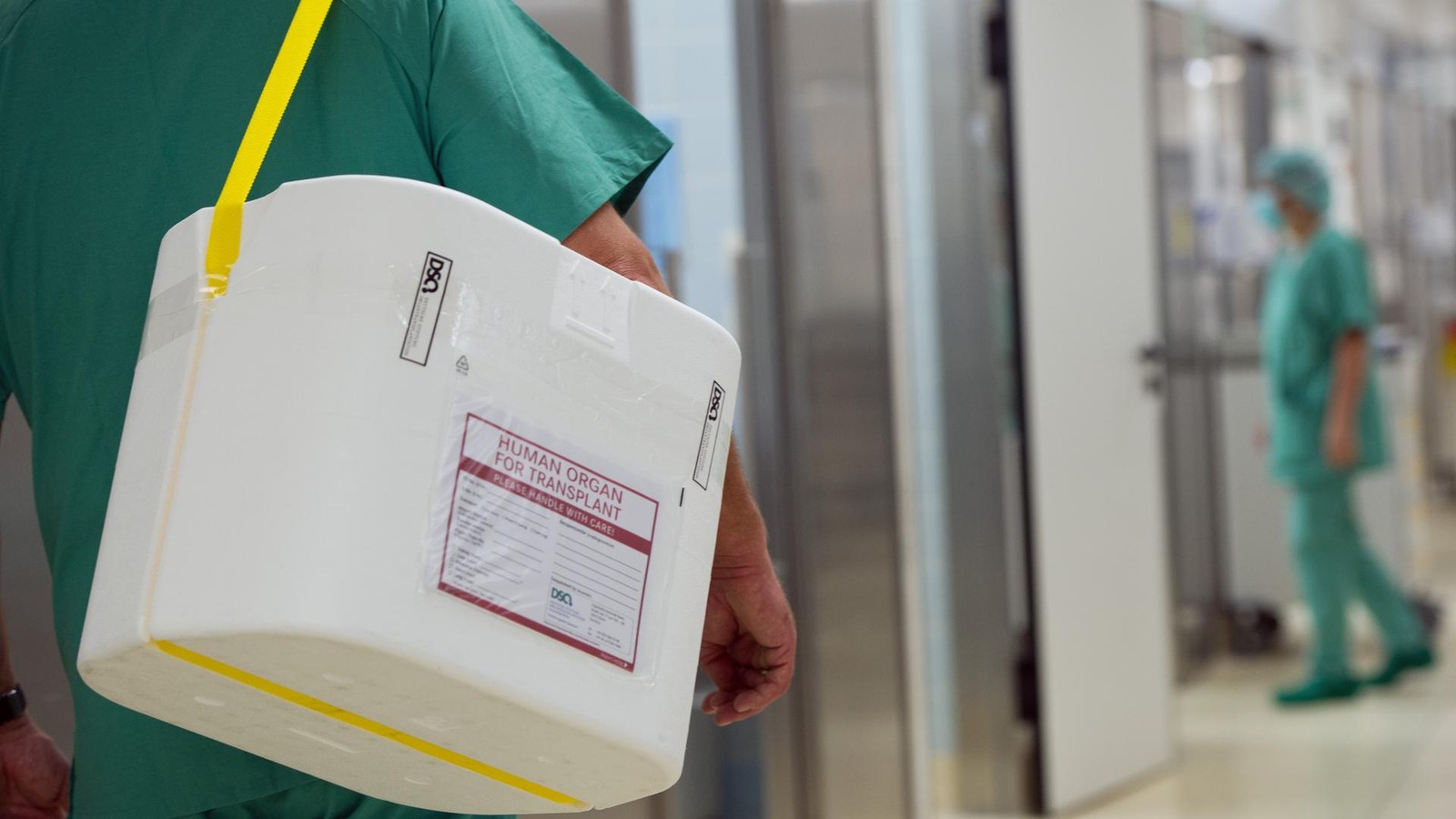 Was-passiert-bei-einer-Organspende-Experte-der-D-sseldorfer-Uni-Klinik-erkl-rt