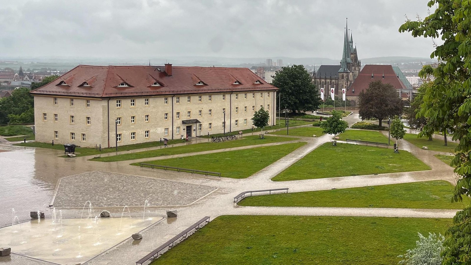Stadt-bremst-W-nsche-nach-Aufforstung-des-Erfurter-Petersberges