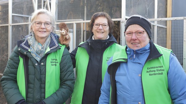 Eichhörnchen in Not: Engagierte Frauen kämpfen um hilflose Tiere