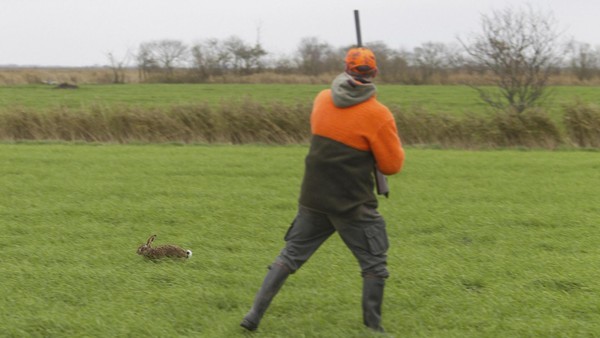 Schüsse an der Grundstücksgrenze: Anwohner verärgert über Jäger
