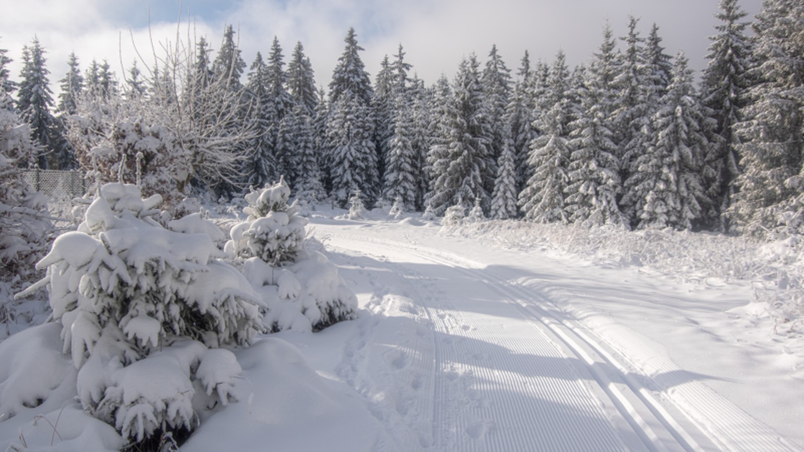 nach-schneef-llen-saisonstart-f-r-erste-skilangl-ufer-im-th-ringer-wald