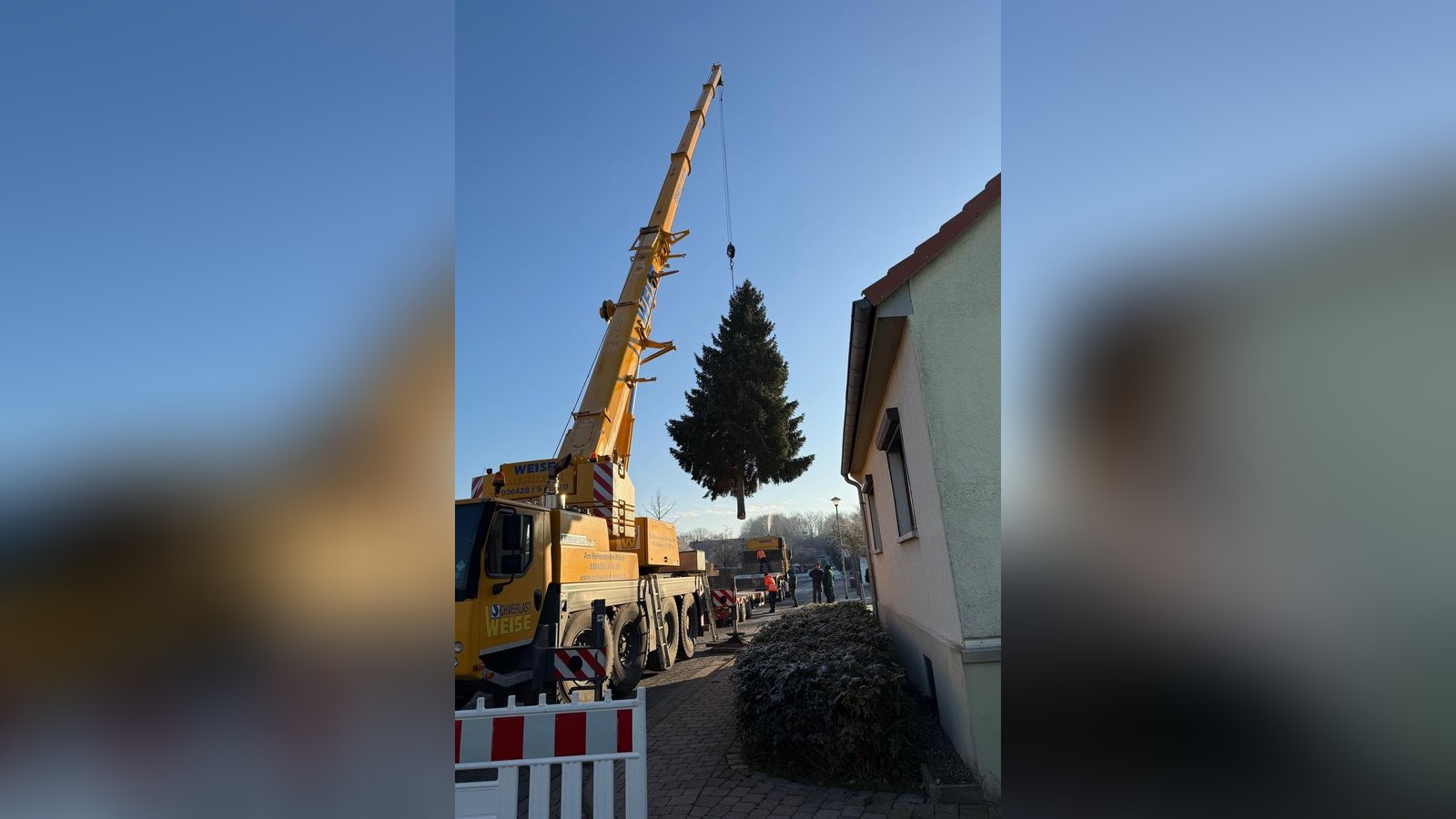Th-ringens-Baum-f-rs-Brandenburger-Tor-Von-Schallenburg-nach-Berlin
