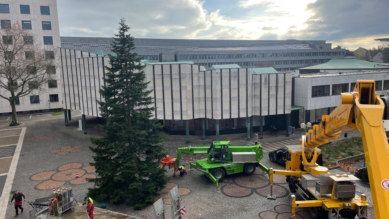 Das-wussten-Sie-noch-nicht-ber-den-Weihnachtsbaum-am-Wolfsburger-Rathaus