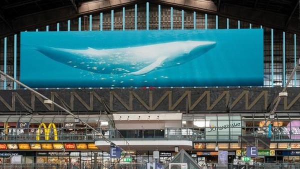 Riesen-Wal im Hauptbahnhof: „Monsterscreen“ empört Hamburger