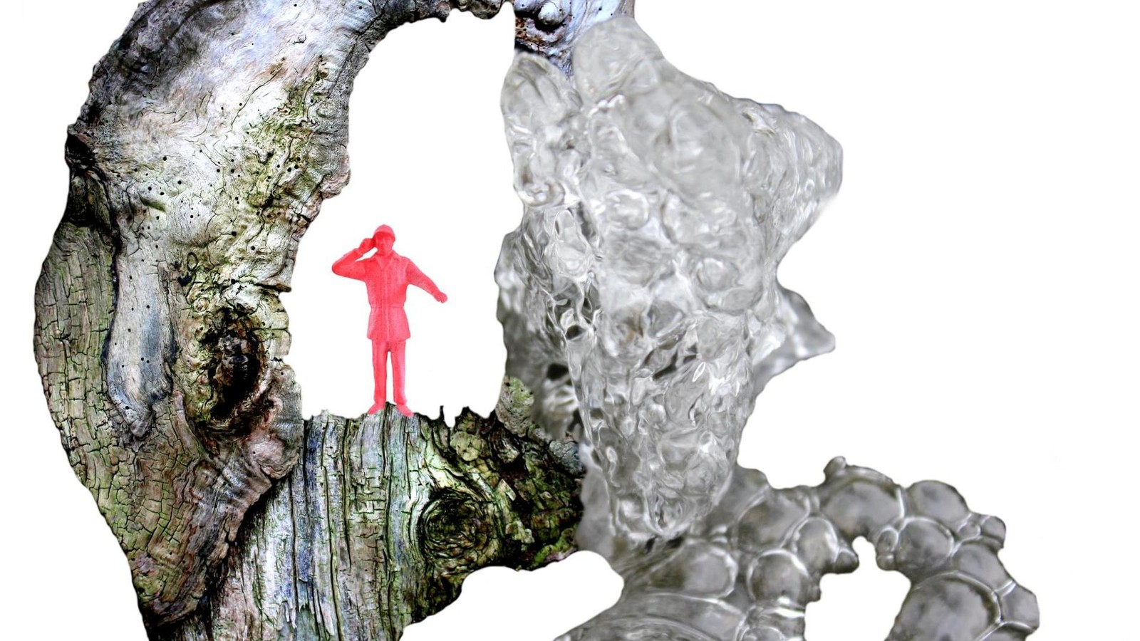 Einstand-Experimente-mit-Pilz-Sporen-und-andere-spannende-Kunst