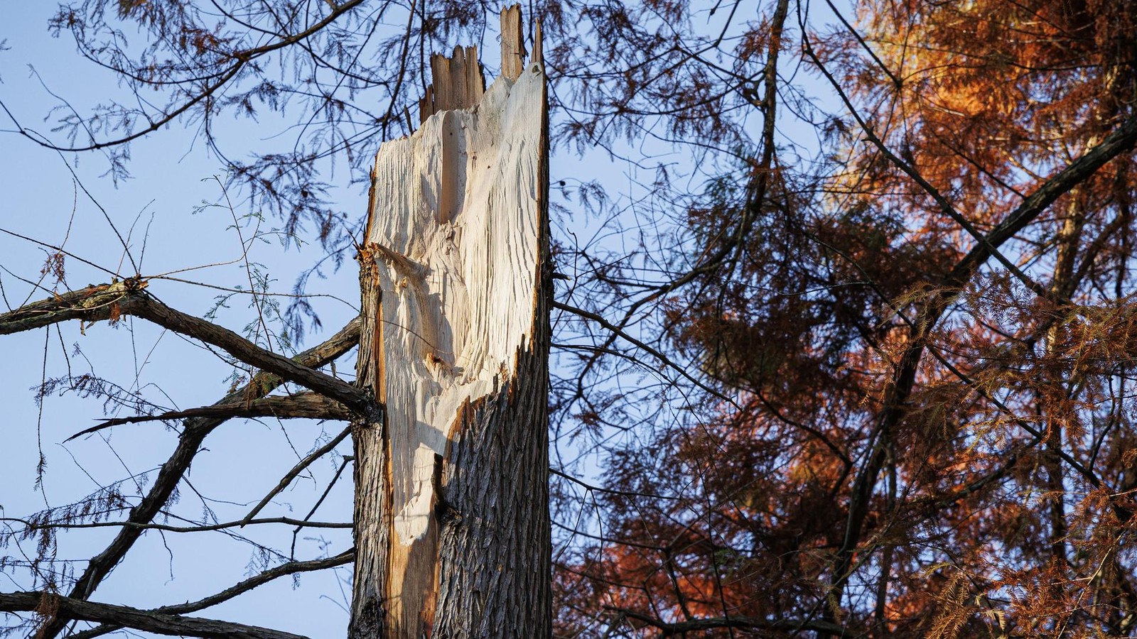 Hamburgerin-50-gel-hmt-Anwohner-erheben-Vorw-rfe-gegen-das-Bezirksamt