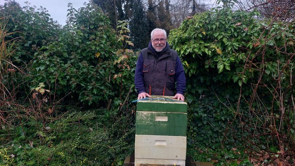 Hornissenart breitet sich aus: Wie gefährlich sie für uns und unsere Bienen ist