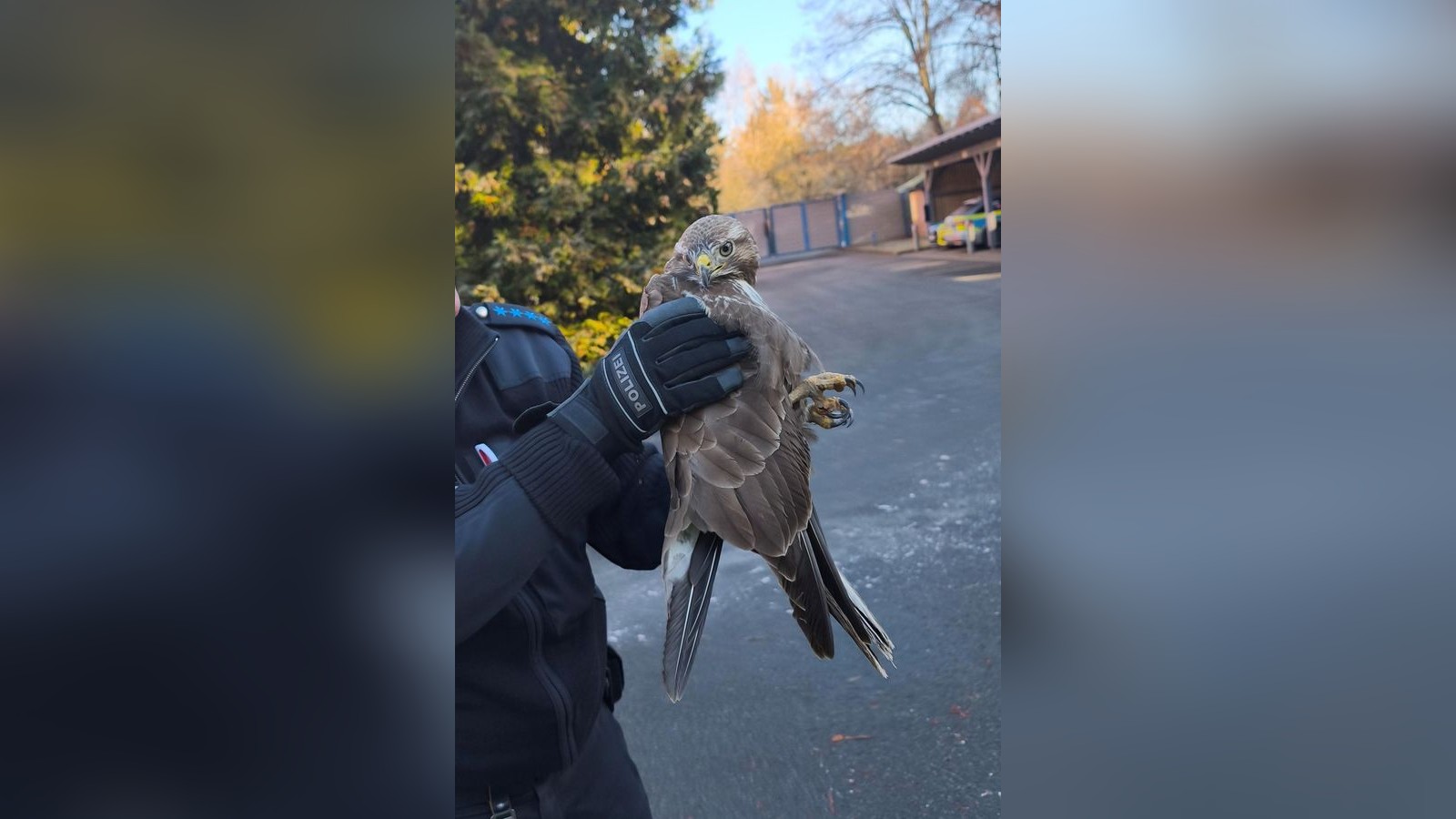 Saale-Holzland-Kreis-Polizisten-retten-Vogel-von-der-A9