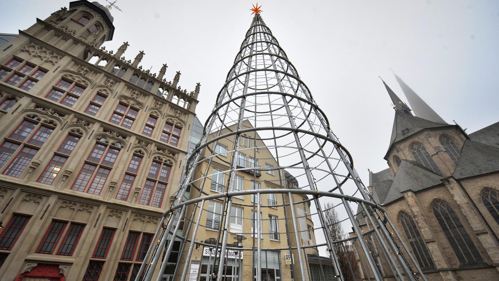 Weseler-Stahltanne-Neues-Zuhause-f-r-Sommer-gesucht-wer-will-sie-nehmen-