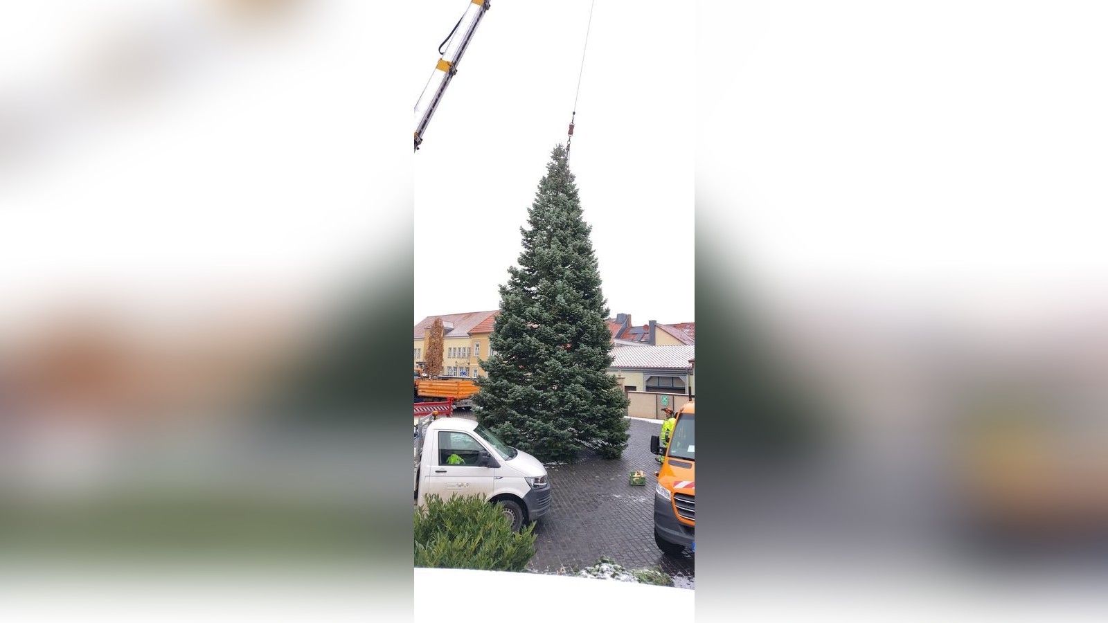 Weihnachtsbaum-Rekord-auf-einem-Eichsfelder-Rathaushof