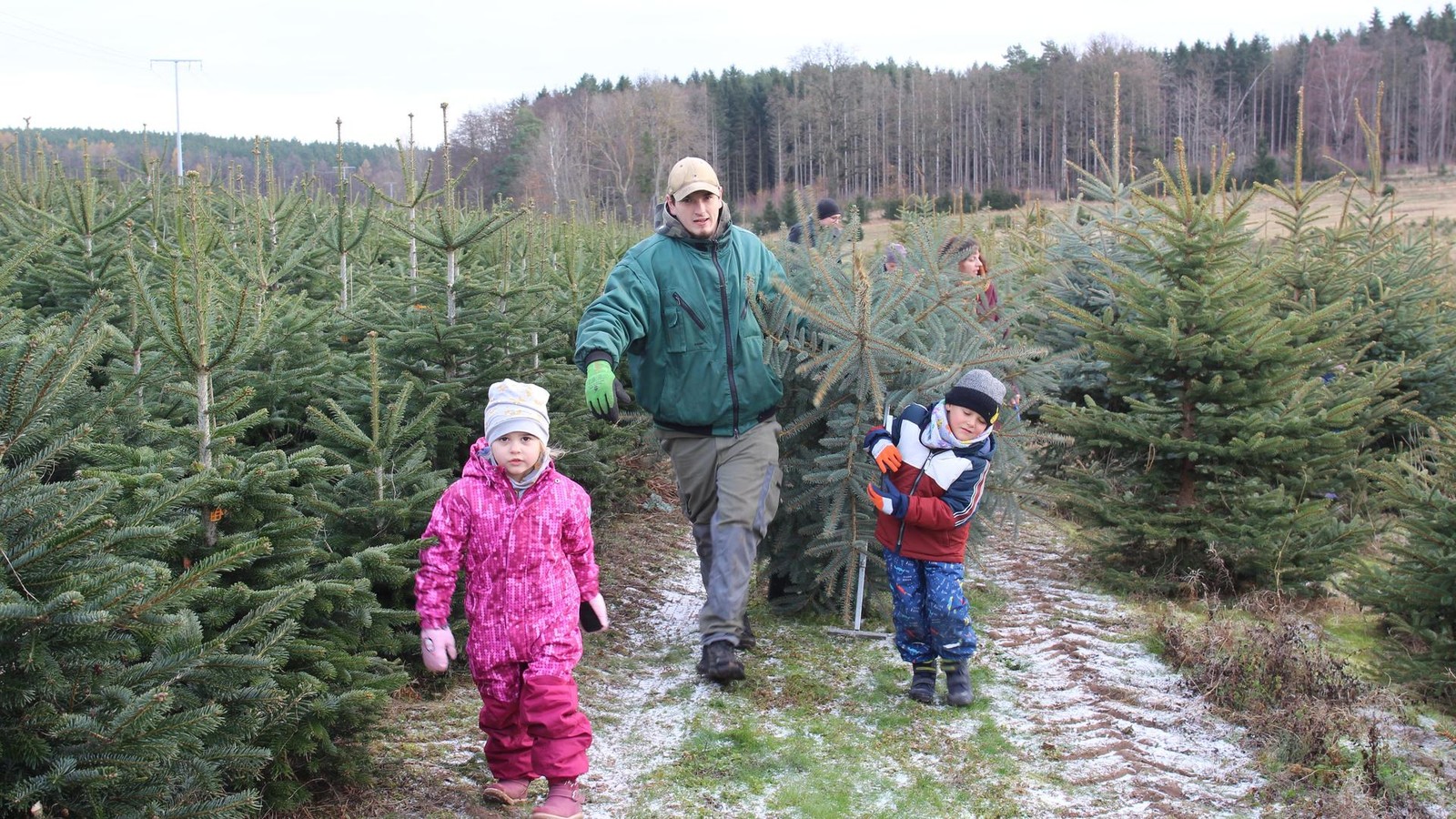 Th-ringer-Tannenhof-Insidertipps-gibt-Baumfluencer-Steffen-Andarusse