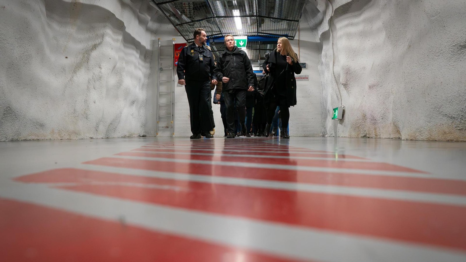 Eine-Chipkarte-f-r-alles-Schleswig-Holstein-will-von-Estland-lernen