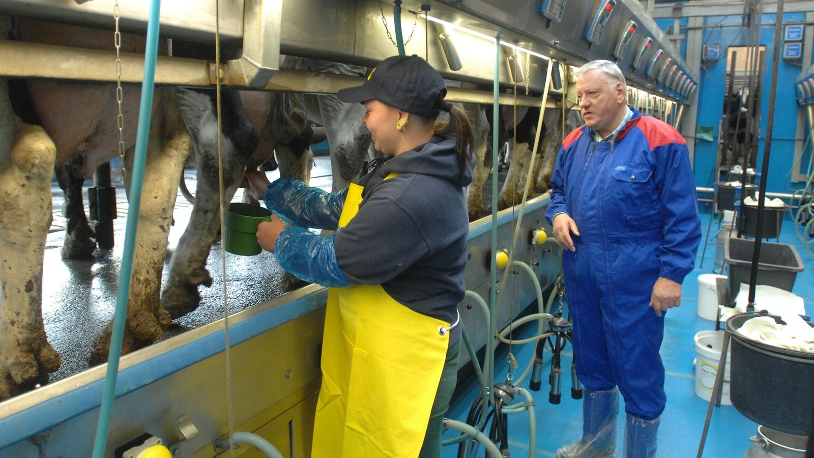 Wartburgkreis-Ein-Riesenbatzen-Geld-heizt-der-Fleischerei-ein