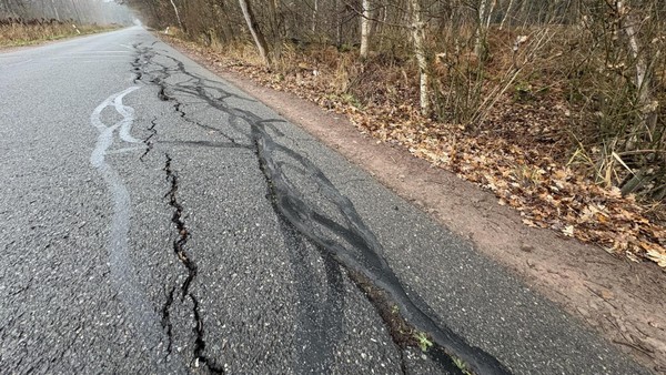 Versinkt diese wichtige Gifhorner VW-Pendlerstrecke im Großen Moor?