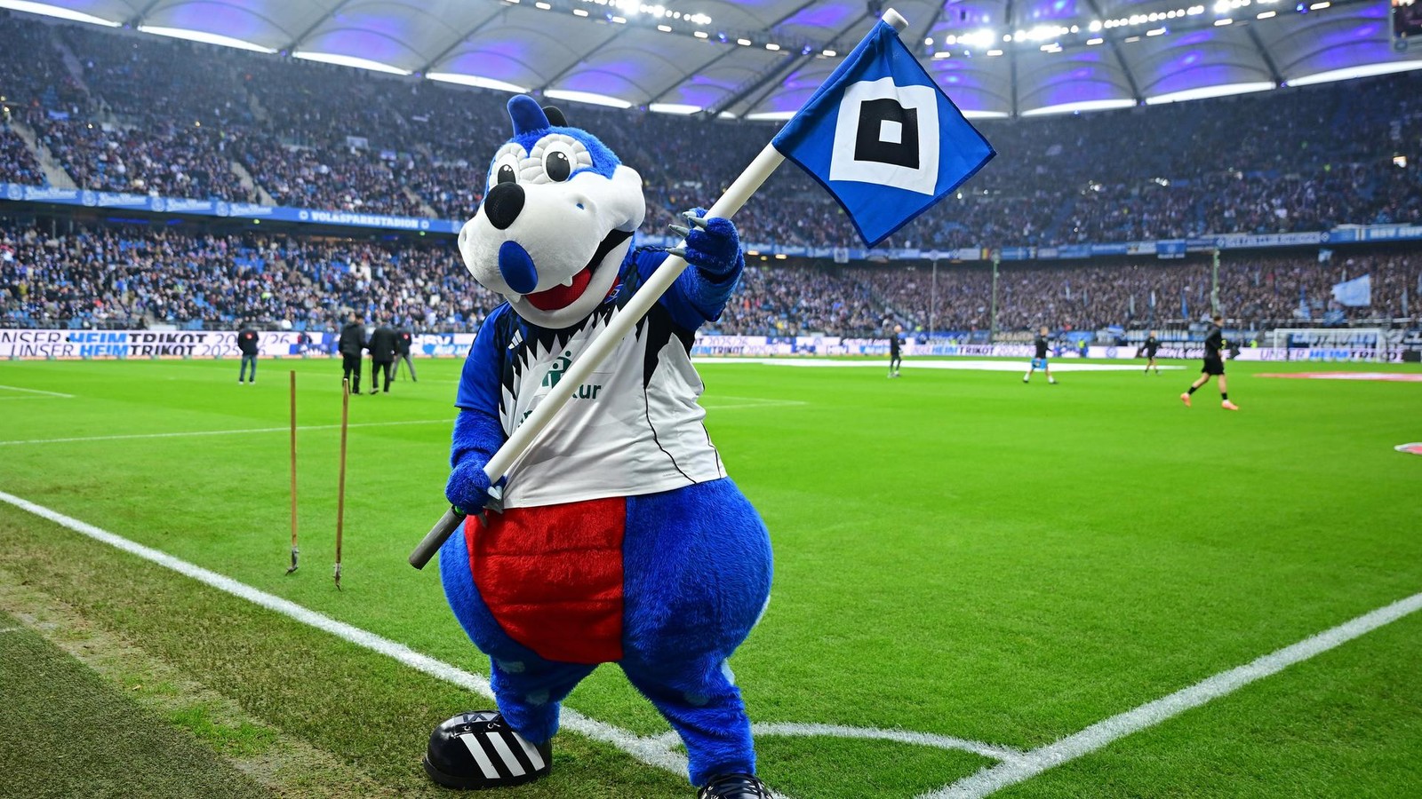 Die-heftige-HSV-Woche-Vier-Heimspiele-eine-Premiere-alle-Details