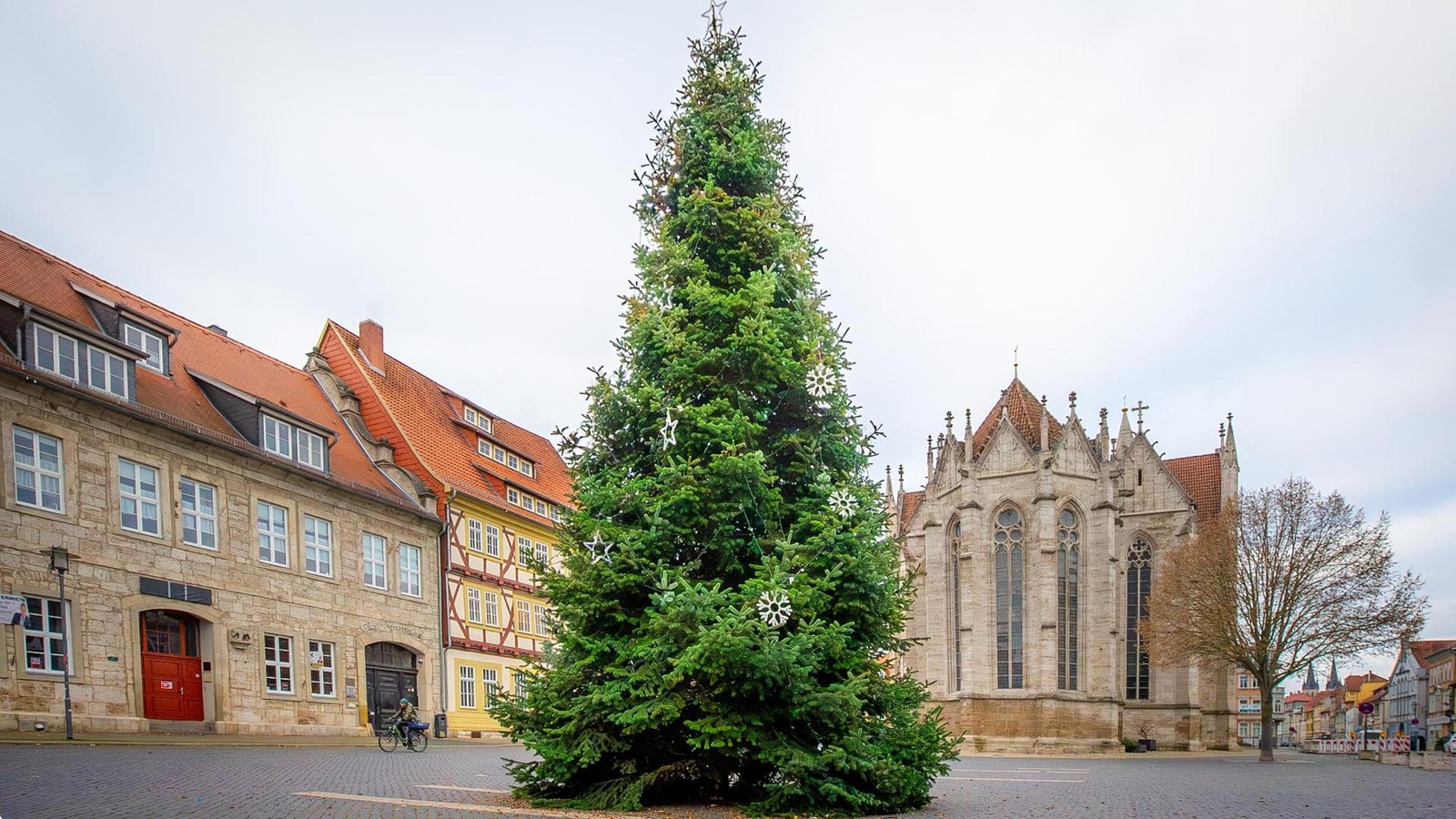 M-hlhausen-bitte-wie-sch-n-ist-denn-dieser-Baum-