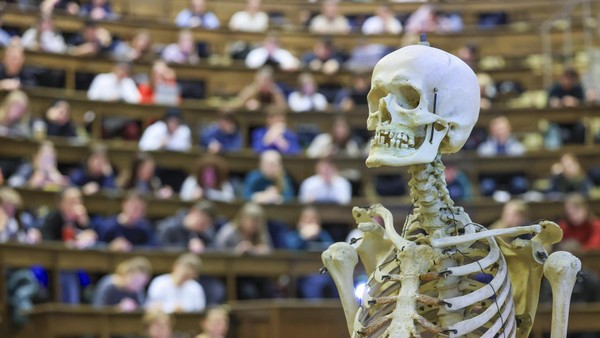 Medizin-Stipendium: Wo Helmstedts künftige Ärzte praktizieren sollen